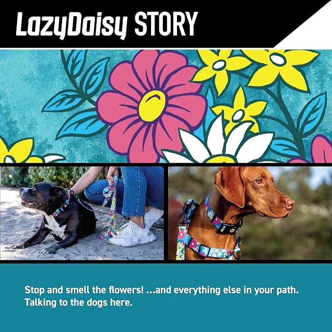 Wolfgang Heavy Duty Adjustable Dog Harness, Pull-Tested for Walking & Training, LazyDaisy Print, Small