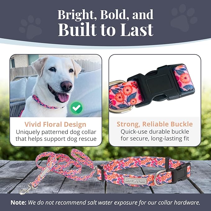 Lucky Love Dog - Easy Click Buckle Dog Collar with Leash Set Combo, Durable & Comfortable for Male & Female Dogs, Pet Collar for Medium Dogs, Secure Fit - Floral Rosie Combo, Medium