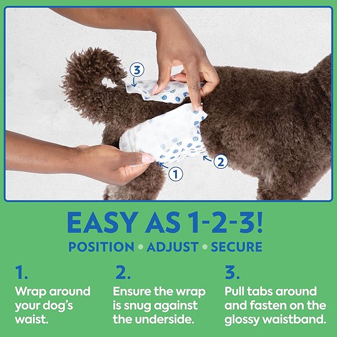 Out! PetCare Disposable Male Dog Wraps, Puppy Pee Wraps, Belly Bands for Dogs, Leak Proof, Wetness Indicator, Puppy and Doggie Diaper for Peeing, XS/Small, 96 Count