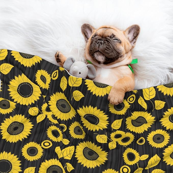 Pet Blanket for Car Rides Vet Visits, Abstract Yellow Sunflower, Two Sided Reversible Plush Design with Bumpy Dot Side Offers Comfort Home Piece On Go Travel