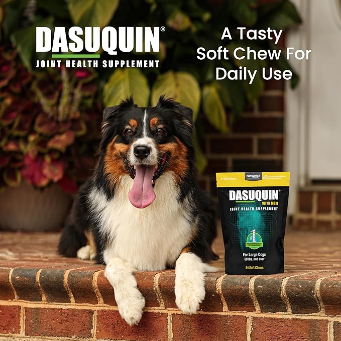 Nutramax Laboratories Dasuquin with MSM Soft Chews Large Dog 84 Count, brown
