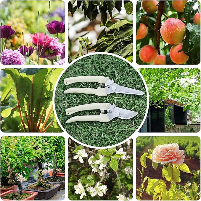 6PCS Ultra Sharp garden shears, Japanese pruning scissors gardening tools, pruners for flower, bushes, rose and fruit tree, use for florist, yard and orchard the plant clippers (White, 6)