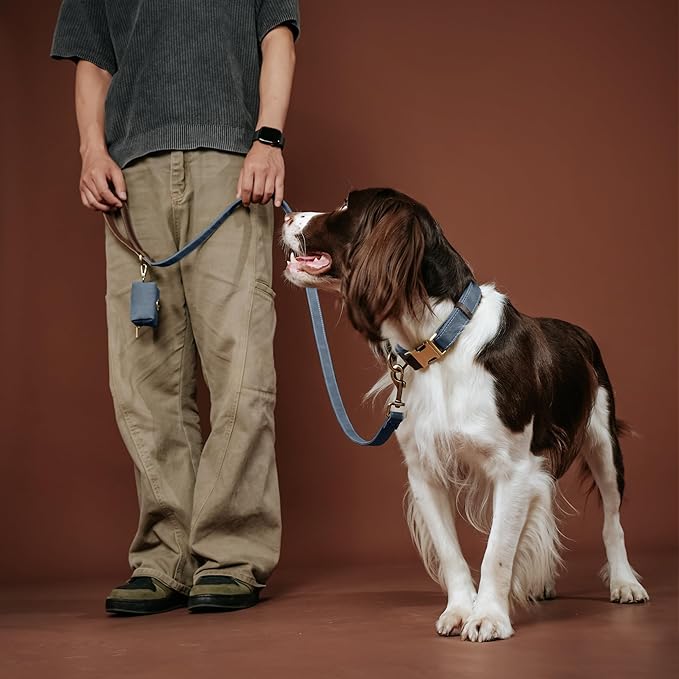 Didog Soft PU Leather Dog Collar for Large Dogs,Classic Adjustable Dog Collars with Quick Release Metal Buckle,Easy Clean and Comfortable with Nylon Lining,Blue,L Neck 16-23"
