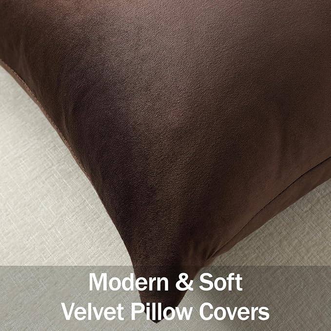 Lumbar Pillow Covers 12x20 Chocolate Brown: Pack of 2 Cozy Soft Velvet Rectangular Modern Luxury Decorative Throw Pillow Cases for Sofa Couch Living Room Bed Home Decor