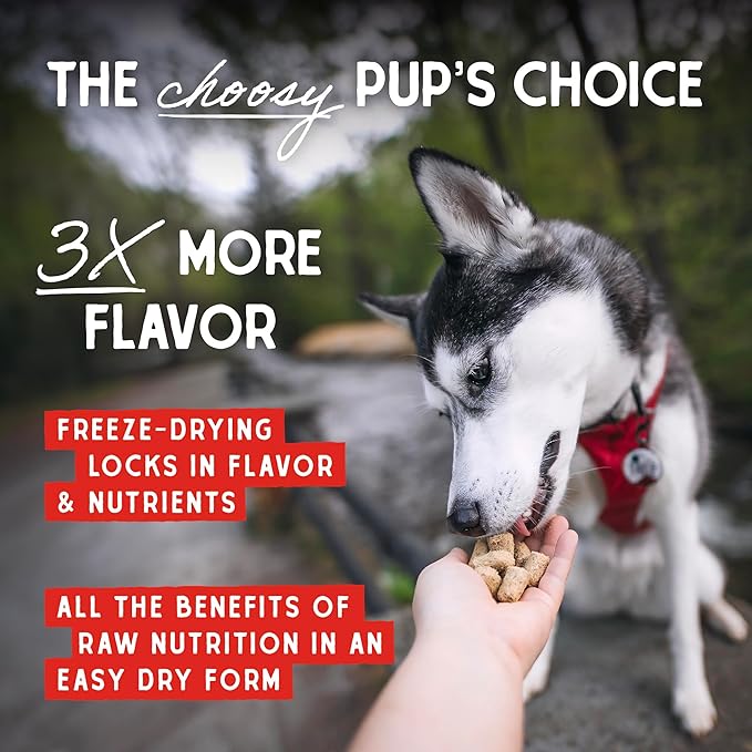 Stella & Chewy's Freeze-Dried Raw Beef Meal Mixers- Dog Food Topper and Mixer - Made with 95% Grass-Fed Beef, Organs & Bone - Perfect for Picky Eaters - Grain-Free - 1 oz (Pack of 6)