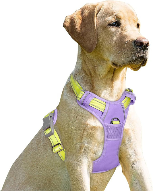BARKBAY No Pull Dog Harness Front Clip Heavy Duty Reflective Easy Control Handle for Large Dog Walking(Violet Purple & Sunlight,M)