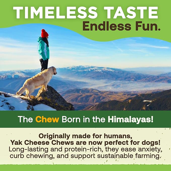 EcoKind Premium Gold Monster Yak Cheese Himalayan Dog Chew, Dog Treats Large Breed, All Natural, High Protein, for Aggressive Chewers, XL - 9+ Chews (3 Lbs)