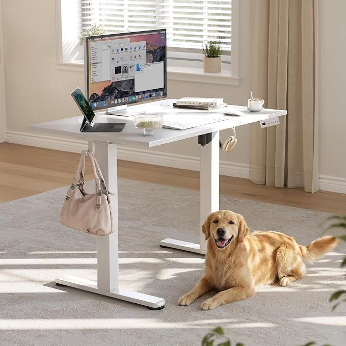 YDN 40 x 24 Inch White Electric Standing Desk | Adjustable Height, Sit Stand, Cable Management, Ergonomic, Home Office