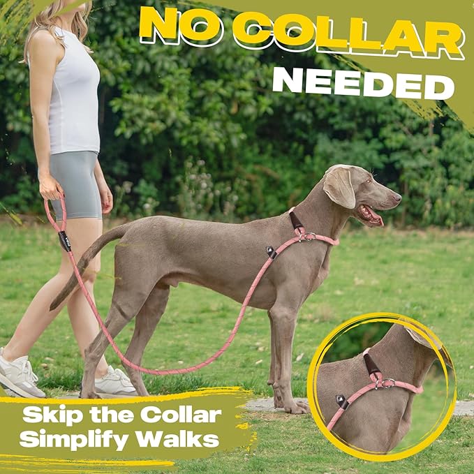 Fida Durable Slip Leads for Dogs, 6 FT x 1/2" Heavy Duty Dog Loop Leashes, Comfortable Strong Rope Slip Leash for Small Dogs and Puppies, No Pull Pet Training Lead with Highly Reflective(1/2", Pink)