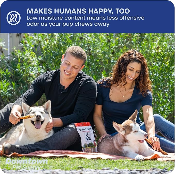 Downtown Pet Supply Jumbo Bully Sticks for Dogs - Natural Beef Chews, Low-Odor & Rawhide-Free, Long Lasting Dog Treats for Aggressive Chewers - Healthy, Safe & Delicious Chews Dogs Love (6" 5 Pack)
