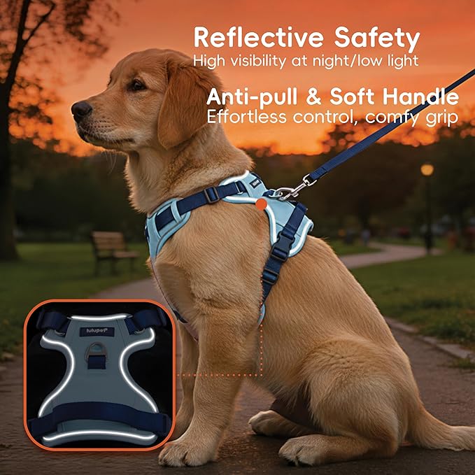 3 in 1 No Pull Dog Harness Leash and Collar Set, Soft Adjustable Dogs Vest Reflective and Comfortable Handle Blue Large