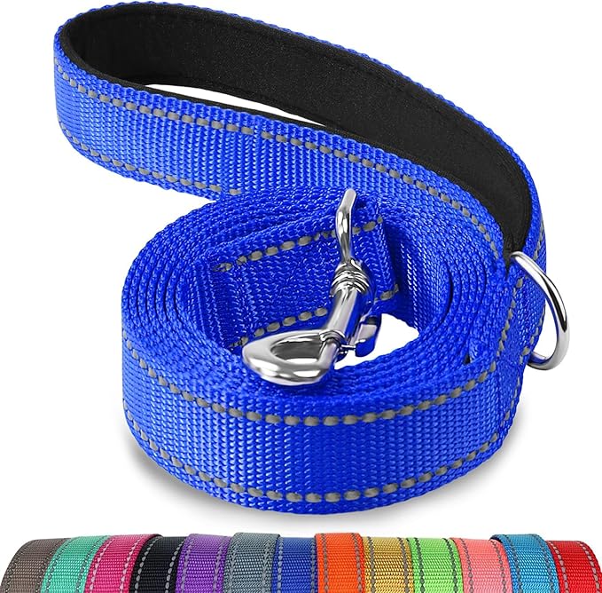 Joytale Dog Leash, 5 FT Double-Sided Reflective, Padded Handle Nylon Heavy Duty Leashes for Small Dogs Walking, Navy Blue