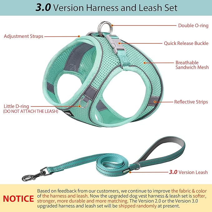 AIITLE Easy Walk Dog Harness and Leash Set - Pet Supply No Pull, Step in Adjustable Dog Harness with Padded Vest, No Choke Over, Easy to Put on Medium Dogs Pure Turquoise L
