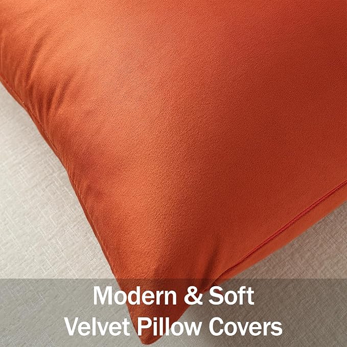 Throw Pillow Covers 20x20 Burnt Orange: Pack of 2 Cozy Soft Velvet Square Modern Luxury Decorative Throw Pillow Cases for Sofa Couch Living Room Bed Home Decor