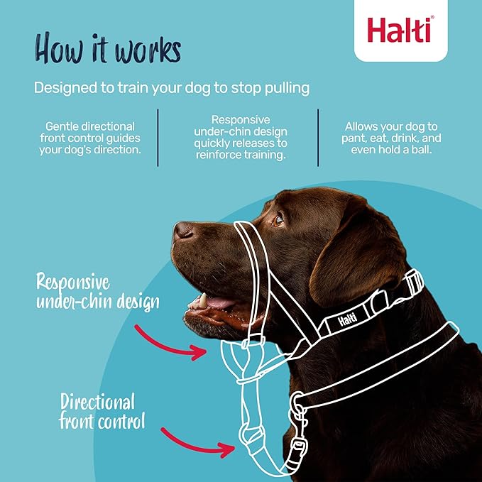 Halti Headcollar - Stop Your Dog Pulling on the Leash. Adjustable, Reflective and Lightweight, with Padded Nose Band. Dog Training Anti-Pull Collar for Large Dogs (Size 5, Black)
