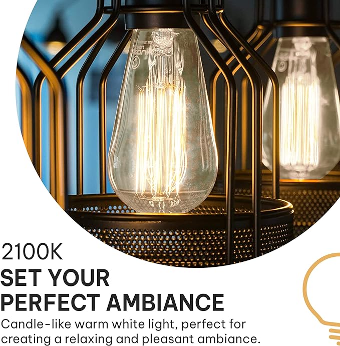 Vintage Edison Incandescent Light Bulbs - 6-Pack 60W, E26/E27, Dimmable 2100K Antique Filament Lamp - ST64 Squirrel Design for Indoor & Outdoor Use