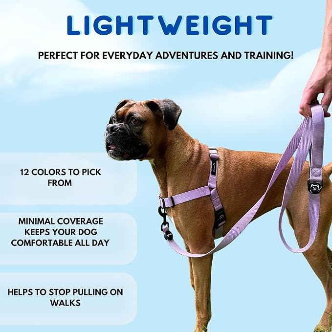ShawnCo Dream Walk No-Pull Dog Harness- Adjustable, Comfortable, Easy to Use Pet Halter to Help Stop Pulling for Small, Medium and Large Dogs- Art Pattern Designs (Freckle's Garden, S)