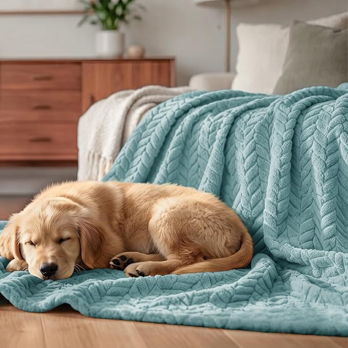 Exclusivo Mezcla Fleece Throw Blanket for Couch Sofa, 50”x70”, Celadon | Oversized Soft Cozy Fluffy Blankets for Summer, Decorative Plush Flannel Throws for Living room, Bedroom with Leaves Pattern