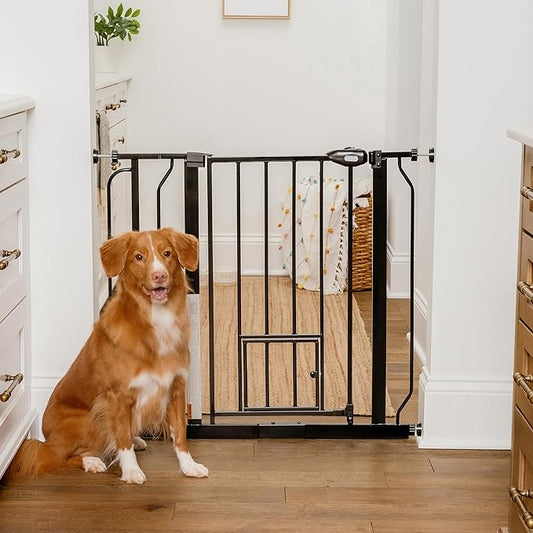 Carlson 29.5–36.5” Extra Wide Dog Gate with Small Pet Door, Walk-Through Pressure Mounted Metal Indoor Pet Safety Gate, Black, Tested and Trusted by Pet Parents, American Designed, American Owned