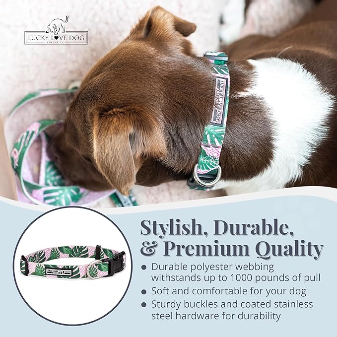 Lucky Love Dog - Adjustable Dog Collar with Easy Click Buckle for Small Dogs, Durable, & Comfortable for Male & Female Dogs, Pet Collar for Puppies & Adult Dogs - Laguna, Small