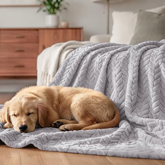 Exclusivo Mezcla Fleece Throw Blanket for Couch Sofa, 50”x70”, Light Grey | Oversized Soft Cozy Fluffy Blankets for Summer, Decorative Plush Flannel Throws for Living room, Bedroom with Leaves Pattern