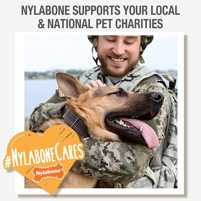 Nylabone Ring Bone Chew Toy for Puppies, Puppy Teething Toys, Puppy Enrichment Toys, Chicken Flavor, X-Small Dogs - Up to 15 lbs, 1 Count (Pack of 2)