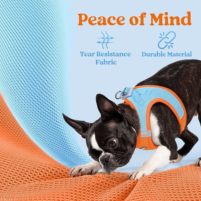 rabbitgoo Small Dog Harness, Step-in Soft Mesh Puppy Vest with Safety Buckle, Breathable Reflective Pet Harness for Extra Small Dogs, Blue & Orange XXXS