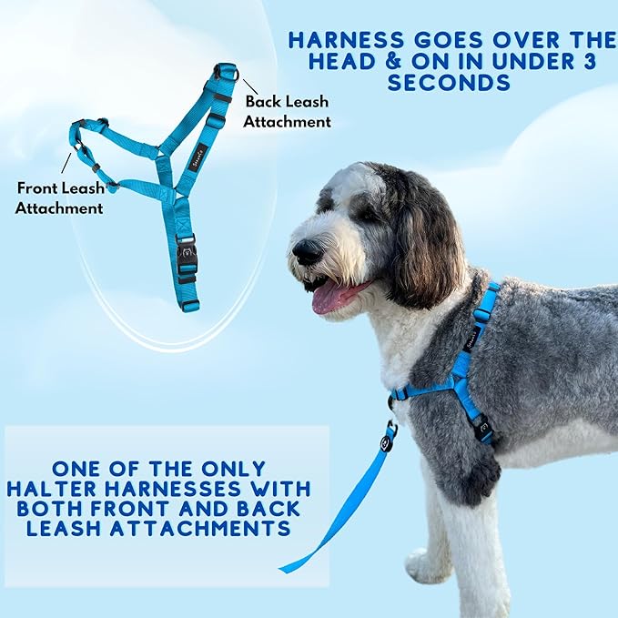 ShawnCo Dream Walk No-Pull Dog Harness- Adjustable, Comfortable, Easy to Use Pet Halter to Help Stop Pulling for Small, Medium and Large Dogs- Art Pattern Designs (White Sharks, L)