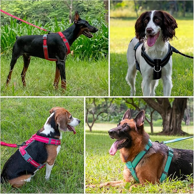 Plutus Pet No Pull Dog Harness, Adjustable Nylon Harness with Soft Padding, Reflective and Heavy Duty Dog Harness for Small, Medium, Large Dogs(Teal, M)