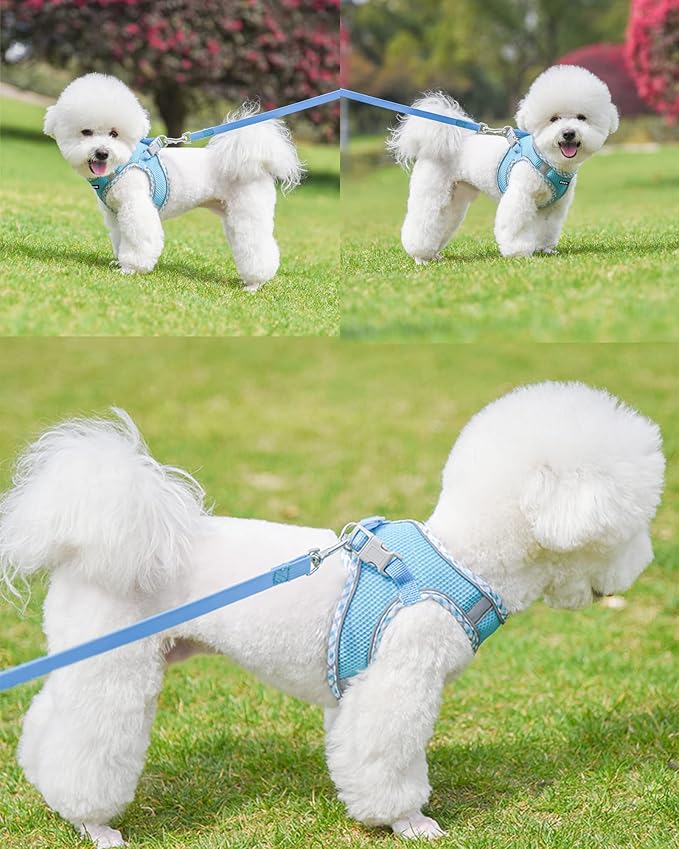 Petank Dog Harness for Small Medium Dogs No Pull, Puppy Harness and Leash Set, Step in Dog Harness for Walking, Running, Training, Small Dog Vest(Bule, XXS)