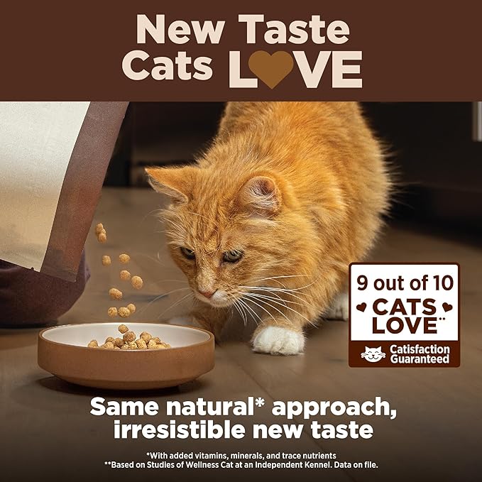 Wellness CORE+ Adult Dry Cat Food for Indoor and Outdoor Cats, Wholesome Grains, Natural, Digestive Health Salmon & Rice (11 Pound Bag)