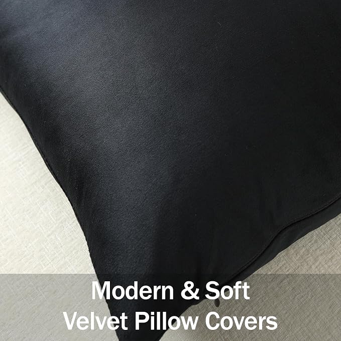 Euro Sham Covers 24x24 Black: Pack of 2 Cozy Soft Velvet Square Modern Luxury Decorative Throw Pillow Cases for Sofa Couch Living Room Bed Home Decor