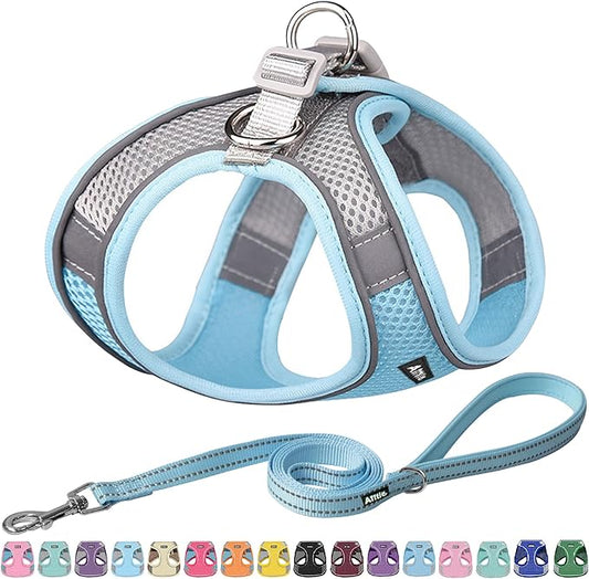 AIITLE Comfortable Dog Harness and Leash Set for Walking - Step in Vest Harness,Reflective Bands, Adjustable No Pull Puppy Essentials, for Small Dogs and House Cats Blue XS
