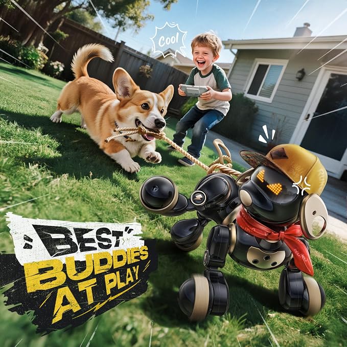 Ruko 18011 Robot Dog Toy, Smart Interactive Puppy with 30+ LED Faces | Remote and Gesture Control, Programmable Interactive Electronic Robot Pet for Kids Ages 3–8, Black & Gold