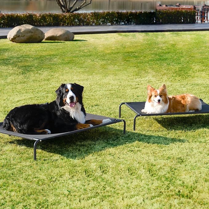 EHEYCIGA XXL Elevated Dog Cot Bed, Raised Outdoor Dog Hammock for Giant Jumbo Dogs, Lifted Pet Platform with Frame and Washable Waterproof Cooling Teslin Mesh and Anti-Slip Feet, 52x36 inch