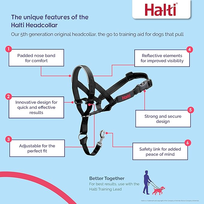 Halti Headcollar - Stop Your Dog Pulling on The Leash. Adjustable, Reflective and Lightweight, with Padded Nose Band. Dog Training Anti-Pull Collar for Large Dogs (Size 4, Cobalt Blue)
