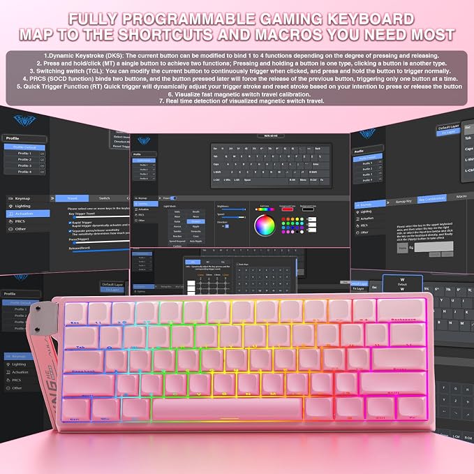 Aula WIN60 HE - 60% Mechanical Gaming Keyboard Wired, Hall Effect Magnetic Switch Hot Swappable,8000 Hz Polling Rate, RGB Keyboard 60 Percent Compact Design for PC (Gradient Pink)
