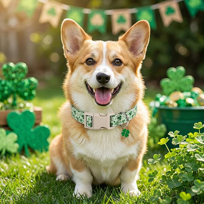 Dog Collars for Medium Dogs, Green Dog Collar for St. Patrick's Day with Green Clover Pattern, Medium Girl Boy Pet Collar with Spring Summer Design, M