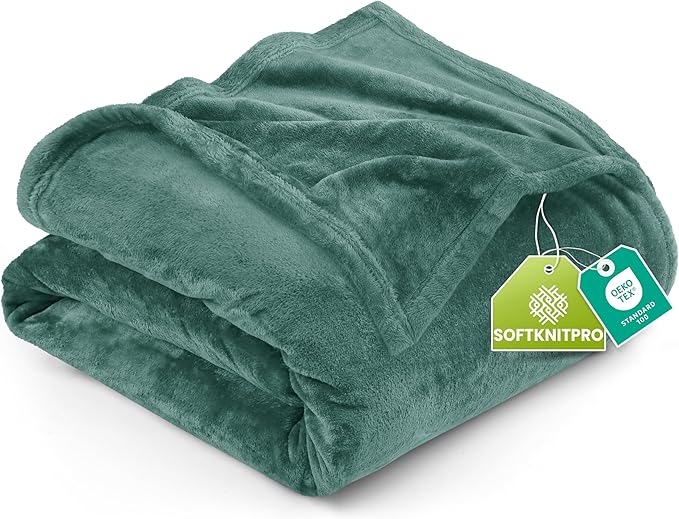 Utopia Bedding Soft Fleece Bed Blanket Queen Size Celadon (90x90 Inch) | Microfiber Plush Warm Lightweight Breathable Cozy Blanket Anti-Static, All Season Use, Gift for Women and Men