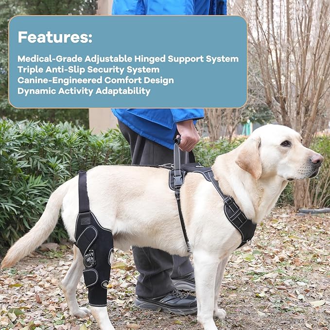 Dog Knee Brace with Adjustable Support – ACL & CCL Tear Recovery, Post-Surgery Stabilization, Mobility Aid for Rear Legs – Includes Secure Chest Harness for Dogs(Left,L)