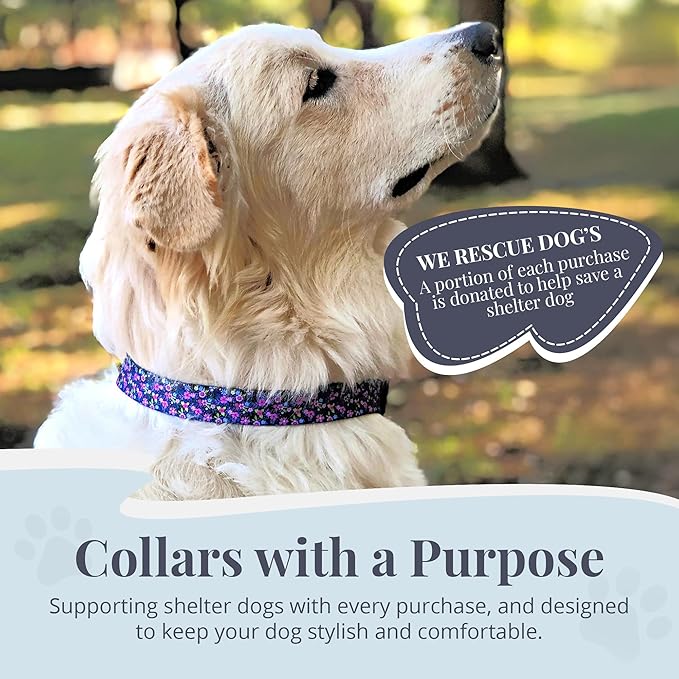 Lucky Love Dog, Comfortable, Soft, Cute Female Dog Collar for Medium Dogs, Black & Purple Floral Print, Adjustable Nylon Collar, Primrose, Medium