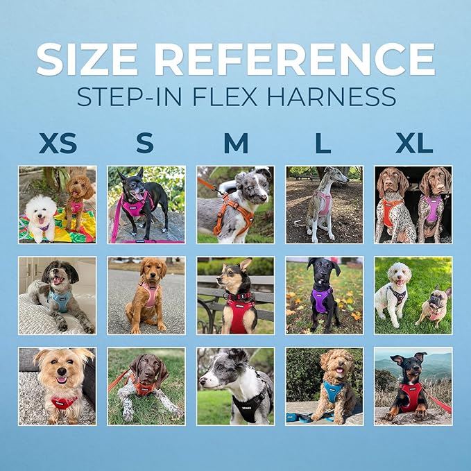Best Pet Supplies Voyager Adjustable Step-in Flex Breathable Mesh Dog Harness for Small Medium Large Dogs (Lavender), L