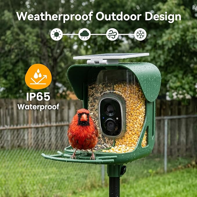 Smart Bird Feeder with Camera, AI Identify Birds Species, 2K HD Color Night Vision, IP65 Waterproof Solar Powered Bird Feeder with 142�� Wide Angle, Auto Capture & Real-Time Notifications, Ideal Gift