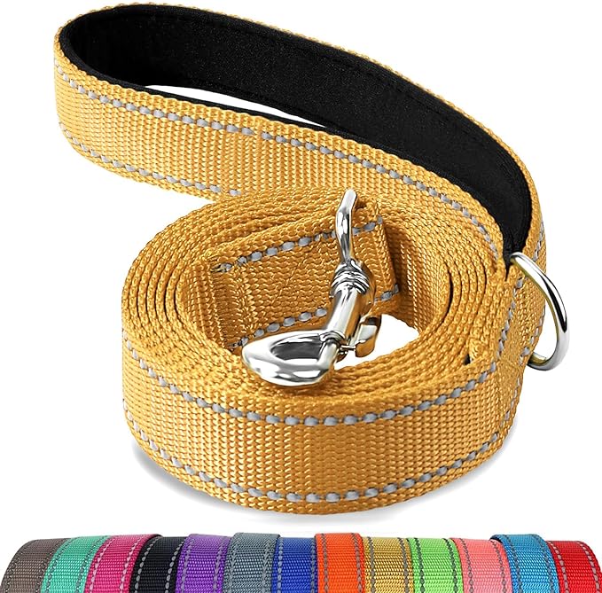Joytale Dog Leash, 5 FT Double-Sided Reflective, Padded Handle Nylon Heavy Duty Leashes for Medium & Large Dogs Walking, Khaki