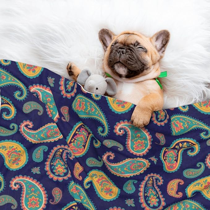 Pet Blanket for Couches and Beds, Colorful Paisley Flowers, Reversible Double Sided Plush Design with Soft Bumpy Texture and Smooth Surface, Furniture Protector
