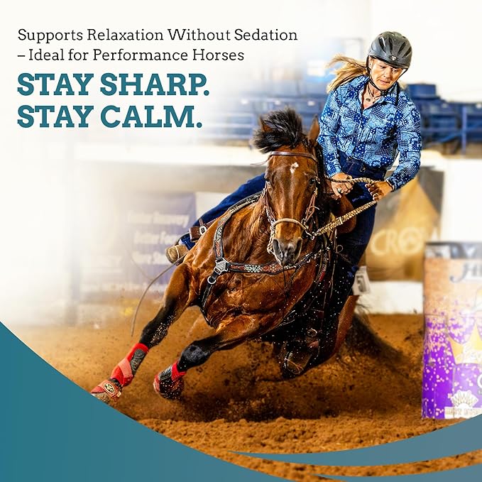 SynNutra Equine SynChill Pure 3 Pack – Non-Sedative Disposition Support for Horses – Plant-Based, Show-Safe Formula for Calm, Confident Performance – 100% Natural & Competition Safe