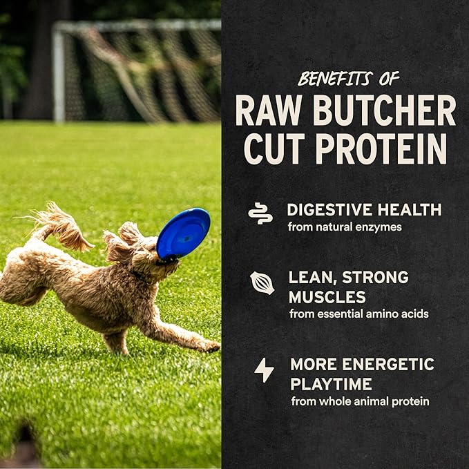 Vital Essentials Duck Bites Dog Treats, 2 oz | Freeze-Dried Raw | Single Protein | Premium Quality High Protein Training Treats | Grain Free, Gluten Free, Filler Free