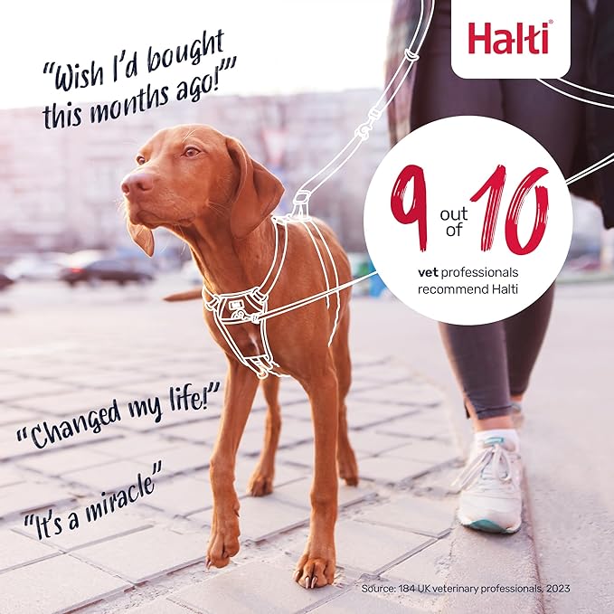 Halti No Pull Harness - Stop Your Dog Pulling on The Leash. Adjustable, Lightweight and Easy to Use. Reflective Dog Training Harness for Medium Dogs (Size M, Burnt Orange)