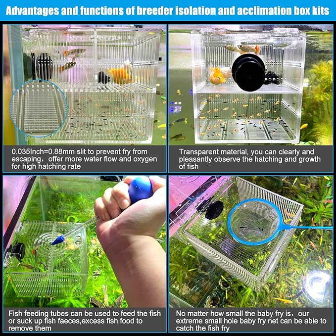Magnetic Fish Breeder Box for Isolation Boxes (4.71 Inch with 2 Divider（Sealed Bottom Version）)