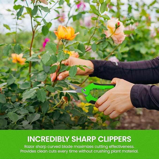 GARDEN GURU Razor Sharp Snip ??Professional Garden Pruning Shears Trimmers Scissors ??Super Sharp Micro-Tip Precision Stainless Steel Blades - Easy on Arthritic Hands - Soft Ergonomic Rubber Handles
